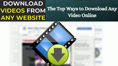 How to Download Any Video from Any Website for Free